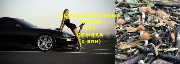 ПСИЛОЦИБИНОВЫЕ ГРИБЫ Белокуриха