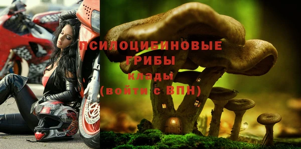 каннабис Богородицк