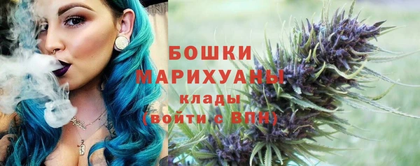 первитин Богданович