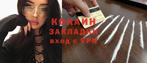 соль ск Богородск