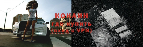 ПСИЛОЦИБИНОВЫЕ ГРИБЫ Белокуриха
