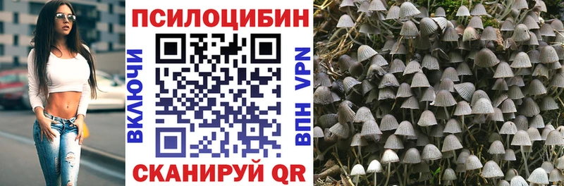 площадка клад  Надым  Псилоцибиновые грибы Cubensis 